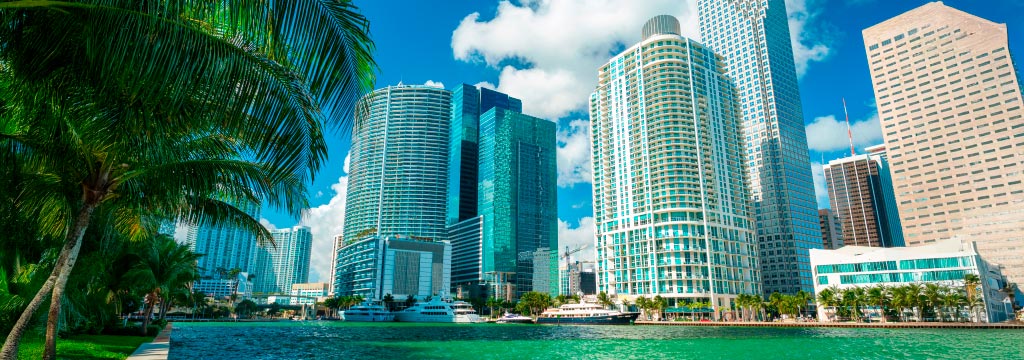 Texto y media alt text