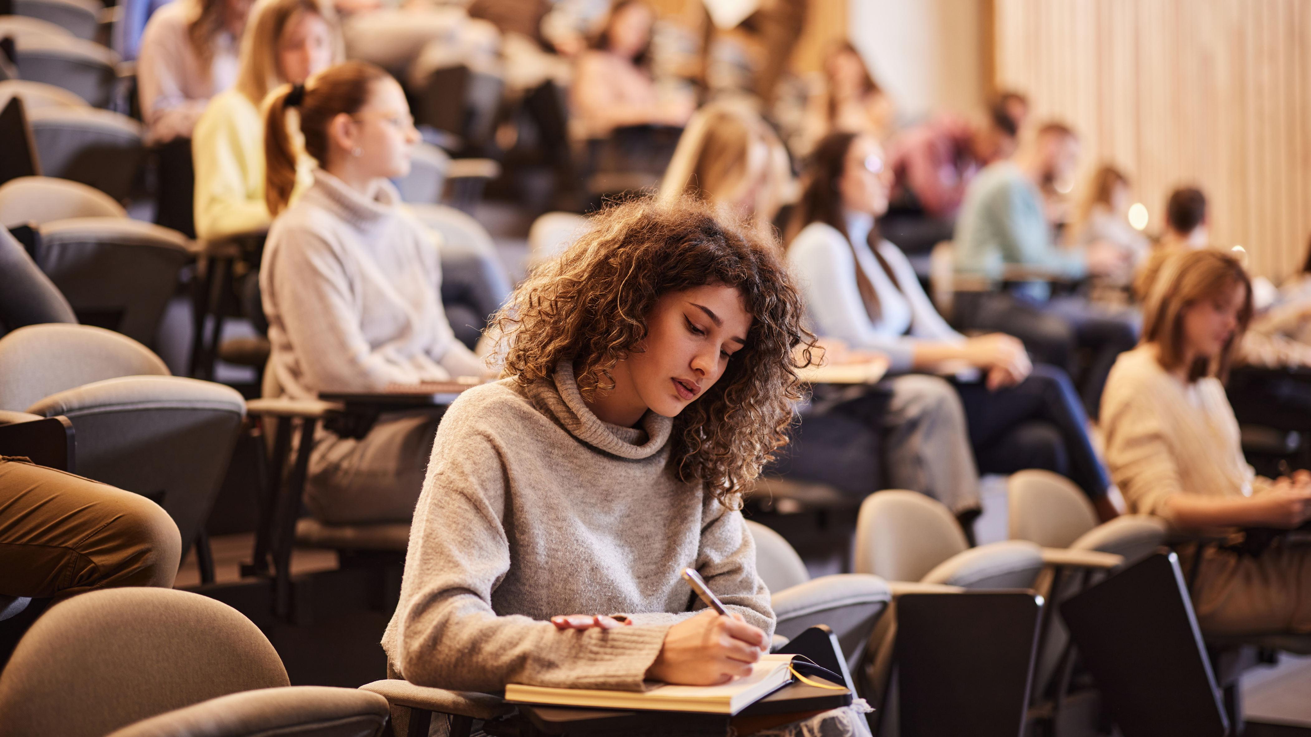 Texto y media alt text