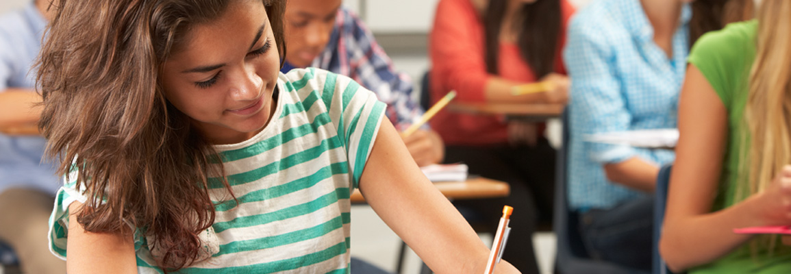 Didáctica de las Matemáticas en Educación Secundaria y Bachillerato