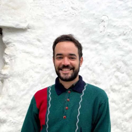 Daniel Torrego, Docente UNIR