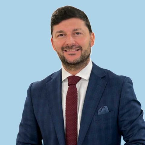 Patxi Xabier Castaños Gil, Experto asociado